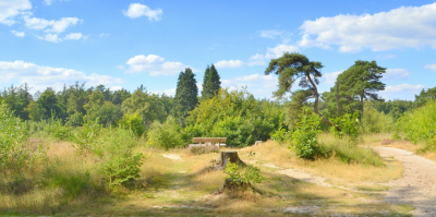 <i class='fa fa-user'></i>&nbsp;B.M.Schouten-Ruis&nbsp;|  Een natuurgebied bij de Haarplas&nbsp; <i class='fa fa-eye'>&nbsp;96</i> &nbsp;<i class='fa fa-thumbs-up'>&nbsp;1</i> &nbsp; <i class='fa fa-comment-o'>&nbsp;4</i>