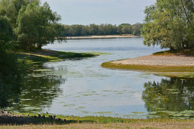 <i class='fa fa-user'></i>&nbsp;Bert Veerman&nbsp;|  Historisch Laag water&nbsp; <i class='fa fa-eye'>&nbsp;77</i> &nbsp; <i class='fa fa-comment-o'>&nbsp;3</i>