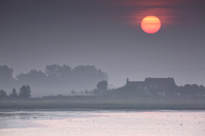 <i class='fa fa-user'></i>&nbsp;Pieter  LJ&nbsp;|  Rijzende zon&nbsp; <i class='fa fa-eye'>&nbsp;108</i> &nbsp;<i class='fa fa-thumbs-up'>&nbsp;3</i> &nbsp; <i class='fa fa-comment-o'>&nbsp;5</i>