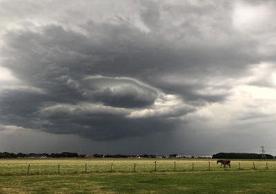 <i class='fa fa-user'></i>&nbsp;Pieter  LJ&nbsp;|  Onweersbui&nbsp; <i class='fa fa-eye'>&nbsp;110</i> &nbsp;<i class='fa fa-thumbs-up'>&nbsp;5</i> &nbsp; <i class='fa fa-comment-o'>&nbsp;6</i>