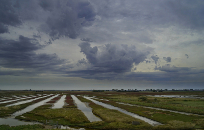 <i class='fa fa-user'></i>&nbsp;Nel R&nbsp;|  Einde van de zomer&nbsp; <i class='fa fa-eye'>&nbsp;93</i> &nbsp;<i class='fa fa-thumbs-up'>&nbsp;7</i> &nbsp; <i class='fa fa-comment-o'>&nbsp;7</i>