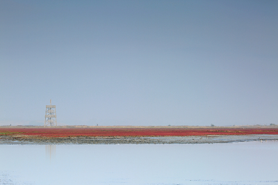 <i class='fa fa-user'></i>&nbsp;Pieter  LJ&nbsp;|  Rode Lijn&nbsp; <i class='fa fa-eye'>&nbsp;79</i> &nbsp;<i class='fa fa-thumbs-up'>&nbsp;1</i> &nbsp; <i class='fa fa-comment-o'>&nbsp;10</i>