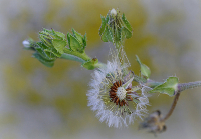 <i class='fa fa-user'></i>&nbsp;Nel R&nbsp;|  Dubbelkelk&nbsp; <i class='fa fa-eye'>&nbsp;58</i> &nbsp;<i class='fa fa-thumbs-up'>&nbsp;4</i> &nbsp; <i class='fa fa-comment-o'>&nbsp;2</i>