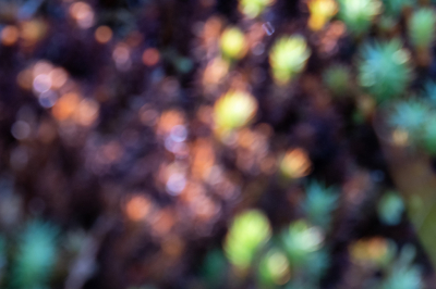 <i class='fa fa-user'></i>&nbsp;Eef Kieft&nbsp;|  Abstract&nbsp; <i class='fa fa-eye'>&nbsp;114</i> &nbsp; <i class='fa fa-comment-o'>&nbsp;3</i>