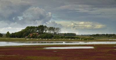 <i class='fa fa-user'></i>&nbsp;Nel R&nbsp;|  Zilte grond&nbsp; <i class='fa fa-eye'>&nbsp;97</i> &nbsp;<i class='fa fa-thumbs-up'>&nbsp;4</i> &nbsp; <i class='fa fa-comment-o'>&nbsp;6</i>