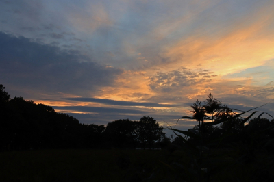 <i class='fa fa-user'></i>&nbsp;Tineke Strijbosch&nbsp;|  Avondlucht&nbsp; <i class='fa fa-eye'>&nbsp;77</i> &nbsp;<i class='fa fa-thumbs-up'>&nbsp;3</i> &nbsp; <i class='fa fa-comment-o'>&nbsp;1</i>