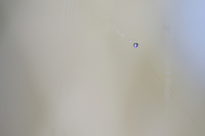 <i class='fa fa-user'></i>&nbsp;Ruben de Bruijn&nbsp;|  Druppel&nbsp; <i class='fa fa-eye'>&nbsp;87</i> &nbsp;<i class='fa fa-thumbs-up'>&nbsp;4</i> &nbsp; <i class='fa fa-comment-o'>&nbsp;9</i>