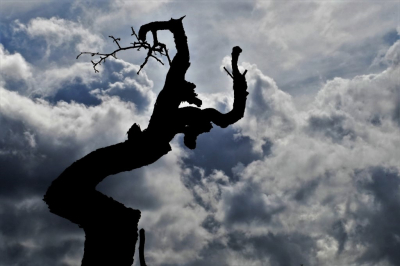 <i class='fa fa-user'></i>&nbsp;hesterb&nbsp;|  Boomstronk&nbsp; <i class='fa fa-eye'>&nbsp;125</i> &nbsp;<i class='fa fa-thumbs-up'>&nbsp;5</i> &nbsp; <i class='fa fa-comment-o'>&nbsp;8</i>