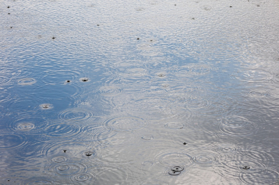 <i class='fa fa-user'></i>&nbsp;kiran&nbsp;|  Regen&nbsp; <i class='fa fa-eye'>&nbsp;92</i> &nbsp; <i class='fa fa-comment-o'>&nbsp;12</i>