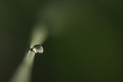 <i class='fa fa-user'></i>&nbsp;Mark de Bruijn&nbsp;|  Druppel&nbsp; <i class='fa fa-eye'>&nbsp;103</i> &nbsp;<i class='fa fa-thumbs-up'>&nbsp;5</i> &nbsp; <i class='fa fa-comment-o'>&nbsp;9</i>