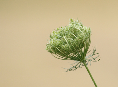 <i class='fa fa-user'></i>&nbsp;rixte&nbsp;|  Peen&nbsp; <i class='fa fa-eye'>&nbsp;52</i> &nbsp; <i class='fa fa-comment-o'>&nbsp;8</i>