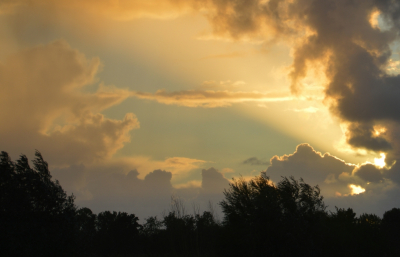 <i class='fa fa-user'></i>&nbsp;B.M.Schouten-Ruis&nbsp;|  Rottemeren zonsondergang&nbsp; <i class='fa fa-eye'>&nbsp;58</i> &nbsp; <i class='fa fa-comment-o'>&nbsp;0</i>