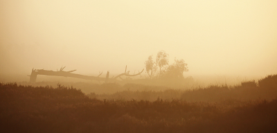 <i class='fa fa-user'></i>&nbsp;Pieter  LJ&nbsp;|  Geknakt&nbsp; <i class='fa fa-eye'>&nbsp;68</i> &nbsp;<i class='fa fa-thumbs-up'>&nbsp;1</i> &nbsp; <i class='fa fa-comment-o'>&nbsp;8</i>