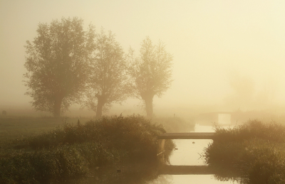 <i class='fa fa-user'></i>&nbsp;Pieter  LJ&nbsp;|  Ochtendmist&nbsp; <i class='fa fa-eye'>&nbsp;151</i> &nbsp;<i class='fa fa-thumbs-up'>&nbsp;3</i> &nbsp; <i class='fa fa-comment-o'>&nbsp;4</i>