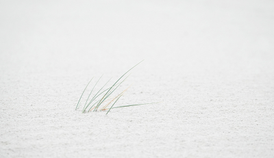 <i class='fa fa-user'></i>&nbsp;nelappelmelk&nbsp;|  Helm&nbsp; <i class='fa fa-eye'>&nbsp;69</i> &nbsp;<i class='fa fa-thumbs-up'>&nbsp;4</i> &nbsp; <i class='fa fa-comment-o'>&nbsp;8</i>