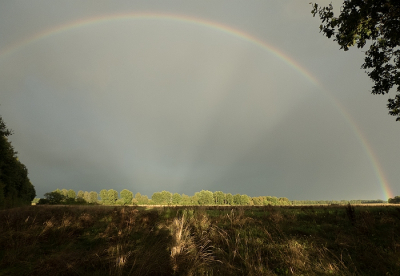 <i class='fa fa-user'></i>&nbsp;binkmte&nbsp;|  Dreigende lucht over het Noorse veld&nbsp; <i class='fa fa-eye'>&nbsp;86</i> &nbsp; <i class='fa fa-comment-o'>&nbsp;3</i>