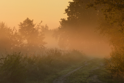 <i class='fa fa-user'></i>&nbsp;Hendrik van Kampen&nbsp;|  De Leien&nbsp; <i class='fa fa-eye'>&nbsp;87</i> &nbsp;<i class='fa fa-thumbs-up'>&nbsp;5</i> &nbsp; <i class='fa fa-comment-o'>&nbsp;5</i>