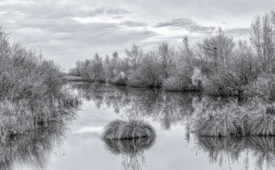 <i class='fa fa-user'></i>&nbsp;Tim Oord&nbsp;|  Petgat&nbsp; <i class='fa fa-eye'>&nbsp;77</i> &nbsp;<i class='fa fa-thumbs-up'>&nbsp;1</i> &nbsp; <i class='fa fa-comment-o'>&nbsp;1</i>