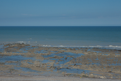 <i class='fa fa-user'></i>&nbsp;susan meijnders&nbsp;|  Eb&nbsp; <i class='fa fa-eye'>&nbsp;66</i> &nbsp; <i class='fa fa-comment-o'>&nbsp;1</i>