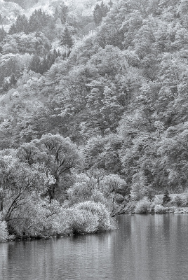 <i class='fa fa-user'></i>&nbsp;Tim Oord&nbsp;|  Herfst in de Moezelstreek&nbsp; <i class='fa fa-eye'>&nbsp;61</i> &nbsp; <i class='fa fa-comment-o'>&nbsp;1</i>