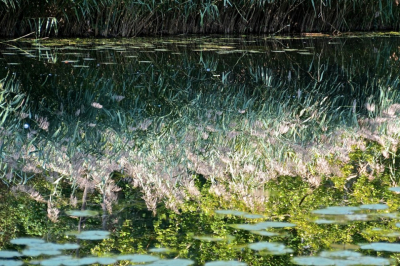 <i class='fa fa-user'></i>&nbsp;hesterb&nbsp;|  Rietkraag&nbsp; <i class='fa fa-eye'>&nbsp;79</i> &nbsp;<i class='fa fa-thumbs-up'>&nbsp;1</i> &nbsp; <i class='fa fa-comment-o'>&nbsp;4</i>