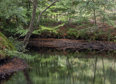 <i class='fa fa-user'></i>&nbsp;Tim Oord&nbsp;|  Beginnende herfst&nbsp; <i class='fa fa-eye'>&nbsp;55</i> &nbsp; <i class='fa fa-comment-o'>&nbsp;2</i>