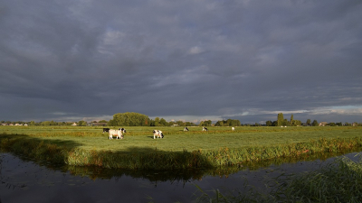 <i class='fa fa-user'></i>&nbsp;kooyammers&nbsp;|  Ochtendzon over Polder&nbsp; <i class='fa fa-eye'>&nbsp;60</i> &nbsp;<i class='fa fa-thumbs-up'>&nbsp;5</i> &nbsp; <i class='fa fa-comment-o'>&nbsp;4</i>