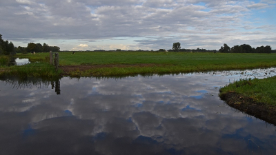 <i class='fa fa-user'></i>&nbsp;kooyammers&nbsp;|  Weerkaatsing van wolken&nbsp; <i class='fa fa-eye'>&nbsp;59</i> &nbsp;<i class='fa fa-thumbs-up'>&nbsp;1</i> &nbsp; <i class='fa fa-comment-o'>&nbsp;2</i>