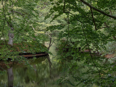 <i class='fa fa-user'></i>&nbsp;Tim Oord&nbsp;|  Herfstbos&nbsp; <i class='fa fa-eye'>&nbsp;81</i> &nbsp;<i class='fa fa-thumbs-up'>&nbsp;2</i> &nbsp; <i class='fa fa-comment-o'>&nbsp;2</i>