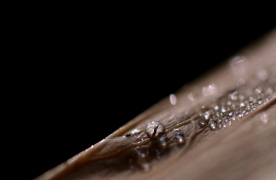 <i class='fa fa-user'></i>&nbsp;rixte&nbsp;|  Eindelijk kwam er regen!&nbsp; <i class='fa fa-eye'>&nbsp;62</i> &nbsp; <i class='fa fa-comment-o'>&nbsp;0</i>