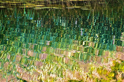 <i class='fa fa-user'></i>&nbsp;hesterb&nbsp;|  Rietkraag&nbsp; <i class='fa fa-eye'>&nbsp;91</i> &nbsp;<i class='fa fa-thumbs-up'>&nbsp;1</i> &nbsp; <i class='fa fa-comment-o'>&nbsp;2</i>