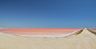 <i class='fa fa-user'></i>&nbsp;mauritskoenen48&nbsp;|  Zoutpannen in de Camarque Fr&nbsp; <i class='fa fa-eye'>&nbsp;101</i> &nbsp;<i class='fa fa-thumbs-up'>&nbsp;5</i> &nbsp; <i class='fa fa-comment-o'>&nbsp;4</i>