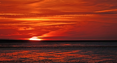 <i class='fa fa-user'></i>&nbsp;nelappelmelk&nbsp;|  Opkomende zon&nbsp; <i class='fa fa-eye'>&nbsp;97</i> &nbsp;<i class='fa fa-thumbs-up'>&nbsp;3</i> &nbsp; <i class='fa fa-comment-o'>&nbsp;8</i>