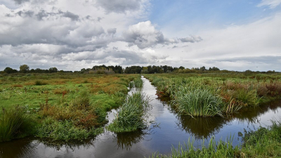 <i class='fa fa-user'></i>&nbsp;kooyammers&nbsp;|  Naderende Herfst&nbsp; <i class='fa fa-eye'>&nbsp;63</i> &nbsp;<i class='fa fa-thumbs-up'>&nbsp;2</i> &nbsp; <i class='fa fa-comment-o'>&nbsp;2</i>