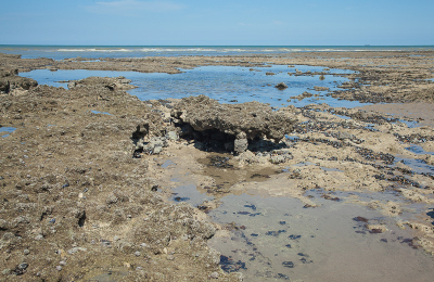 <i class='fa fa-user'></i>&nbsp;susan meijnders&nbsp;|  Eb&nbsp; <i class='fa fa-eye'>&nbsp;77</i> &nbsp;<i class='fa fa-thumbs-up'>&nbsp;1</i> &nbsp; <i class='fa fa-comment-o'>&nbsp;3</i>