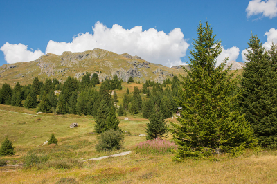 <i class='fa fa-user'></i>&nbsp;Willem Verhagen&nbsp;|  Alp Flix&nbsp; <i class='fa fa-eye'>&nbsp;67</i> &nbsp;<i class='fa fa-thumbs-up'>&nbsp;1</i> &nbsp; <i class='fa fa-comment-o'>&nbsp;1</i>