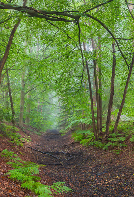 <i class='fa fa-user'></i>&nbsp;wimwes&nbsp;|  Oude wijk&nbsp; <i class='fa fa-eye'>&nbsp;81</i> &nbsp;<i class='fa fa-thumbs-up'>&nbsp;1</i> &nbsp; <i class='fa fa-comment-o'>&nbsp;4</i>