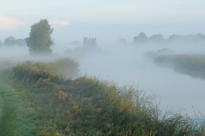 <i class='fa fa-user'></i>&nbsp;Hendrik van Kampen&nbsp;|  De Lits&nbsp; <i class='fa fa-eye'>&nbsp;92</i> &nbsp;<i class='fa fa-thumbs-up'>&nbsp;6</i> &nbsp; <i class='fa fa-comment-o'>&nbsp;8</i>