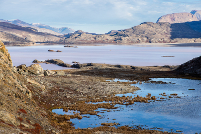 <i class='fa fa-user'></i>&nbsp;Arjen Drost&nbsp;|  Toendrameertje&nbsp; <i class='fa fa-eye'>&nbsp;85</i> &nbsp;<i class='fa fa-thumbs-up'>&nbsp;1</i> &nbsp; <i class='fa fa-comment-o'>&nbsp;2</i>