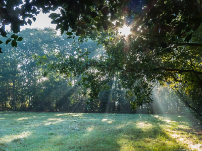 <i class='fa fa-user'></i>&nbsp;binkmte&nbsp;|  Zonneharpen&nbsp; <i class='fa fa-eye'>&nbsp;55</i> &nbsp; <i class='fa fa-comment-o'>&nbsp;0</i>