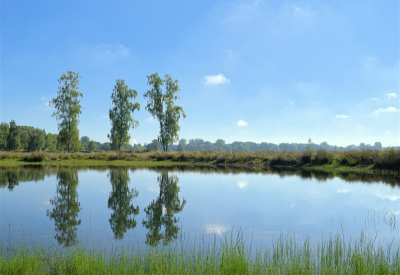 <i class='fa fa-user'></i>&nbsp;janvangastel&nbsp;|  Vennetje&nbsp; <i class='fa fa-eye'>&nbsp;61</i> &nbsp;<i class='fa fa-thumbs-up'>&nbsp;2</i> &nbsp; <i class='fa fa-comment-o'>&nbsp;1</i>