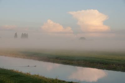 <i class='fa fa-user'></i>&nbsp;corbins&nbsp;|  Mist in het Groene Hart&nbsp; <i class='fa fa-eye'>&nbsp;76</i> &nbsp;<i class='fa fa-thumbs-up'>&nbsp;1</i> &nbsp; <i class='fa fa-comment-o'>&nbsp;3</i>