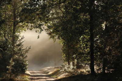 <i class='fa fa-user'></i>&nbsp;Jan Paul Kraaij&nbsp;|  Nevel in het licht&nbsp; <i class='fa fa-eye'>&nbsp;109</i> &nbsp;<i class='fa fa-thumbs-up'>&nbsp;3</i> &nbsp; <i class='fa fa-comment-o'>&nbsp;5</i>