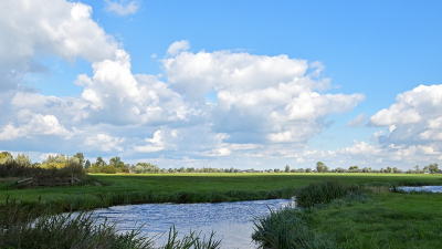 <i class='fa fa-user'></i>&nbsp;kooyammers&nbsp;|  Nespolder&nbsp; <i class='fa fa-eye'>&nbsp;46</i> &nbsp;<i class='fa fa-thumbs-up'>&nbsp;1</i> &nbsp; <i class='fa fa-comment-o'>&nbsp;2</i>