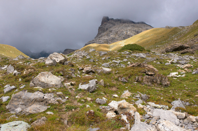 <i class='fa fa-user'></i>&nbsp;Willem Verhagen&nbsp;|  Julierpas&nbsp; <i class='fa fa-eye'>&nbsp;73</i> &nbsp;<i class='fa fa-thumbs-up'>&nbsp;2</i> &nbsp; <i class='fa fa-comment-o'>&nbsp;3</i>