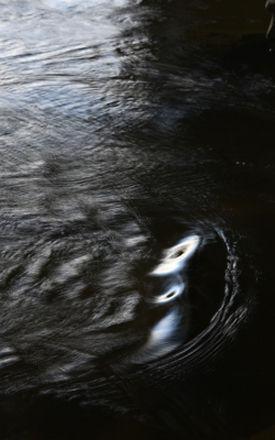 <i class='fa fa-user'></i>&nbsp;liesbeth van vliet&nbsp;|  Figuren in stromend water&nbsp; <i class='fa fa-eye'>&nbsp;66</i> &nbsp; <i class='fa fa-comment-o'>&nbsp;1</i>