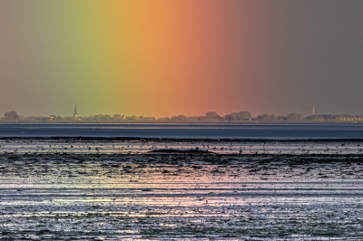 <i class='fa fa-user'></i>&nbsp;David&nbsp;|  Regenboogkleuren boven het wad&nbsp; <i class='fa fa-eye'>&nbsp;84</i> &nbsp;<i class='fa fa-thumbs-up'>&nbsp;4</i> &nbsp; <i class='fa fa-comment-o'>&nbsp;3</i>