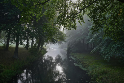 <i class='fa fa-user'></i>&nbsp;hesterb&nbsp;|  Mist&nbsp; <i class='fa fa-eye'>&nbsp;64</i> &nbsp;<i class='fa fa-thumbs-up'>&nbsp;2</i> &nbsp; <i class='fa fa-comment-o'>&nbsp;4</i>