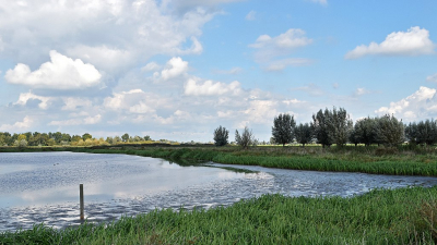 <i class='fa fa-user'></i>&nbsp;kooyammers&nbsp;|  Vogelplas Nespolder&nbsp; <i class='fa fa-eye'>&nbsp;53</i> &nbsp;<i class='fa fa-thumbs-up'>&nbsp;1</i> &nbsp; <i class='fa fa-comment-o'>&nbsp;2</i>