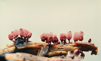 <i class='fa fa-user'></i>&nbsp;Eric Gibcus&nbsp;|  Netwatje sp.&nbsp; <i class='fa fa-eye'>&nbsp;127</i> &nbsp;<i class='fa fa-thumbs-up'>&nbsp;5</i> &nbsp; <i class='fa fa-comment-o'>&nbsp;6</i>